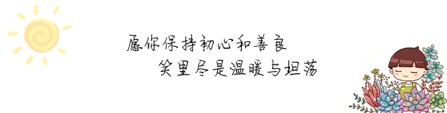 玫瑰花多肉植物_多肉玫瑰系列哪些值得養_多肉玫瑰花