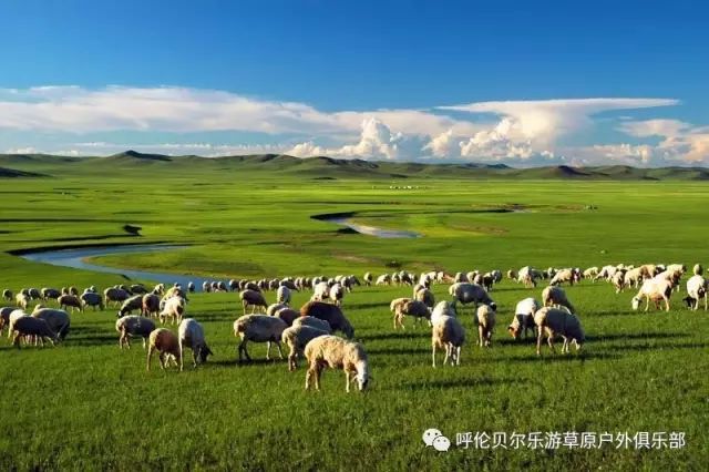 大連到阿爾山自駕游攻略_大連自駕到阿爾山旅游攻略_大連到阿爾山中途的休息