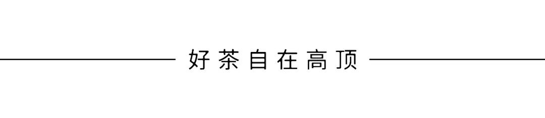 樹葉黃金耳環圖片_樹葉黃金分割_黃金樹葉