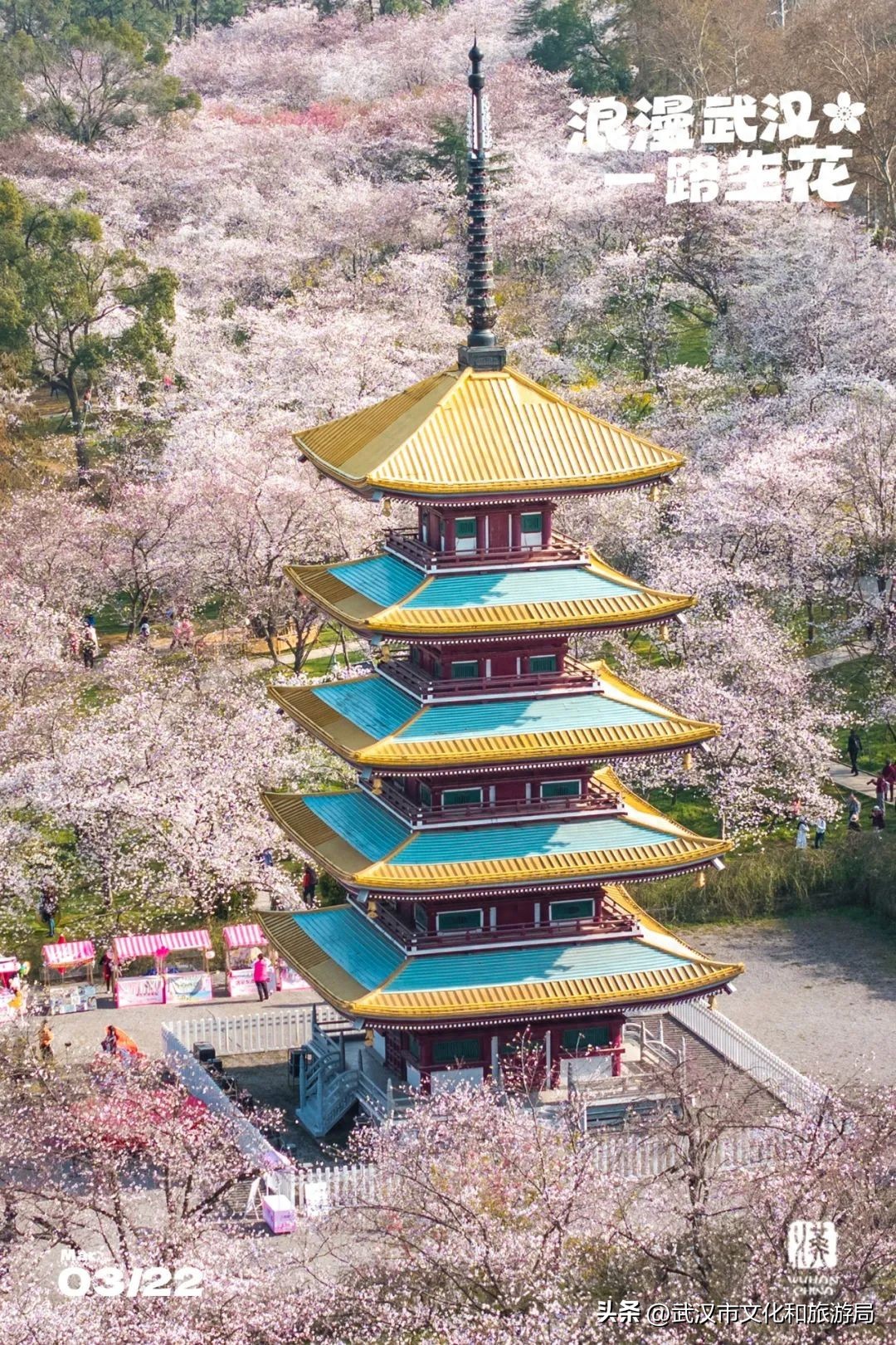 武漢馬拉松東湖綠道封閉_東湖生態(tài)旅游風(fēng)景區(qū)游玩攻略_東湖櫻花園賞花時(shí)間