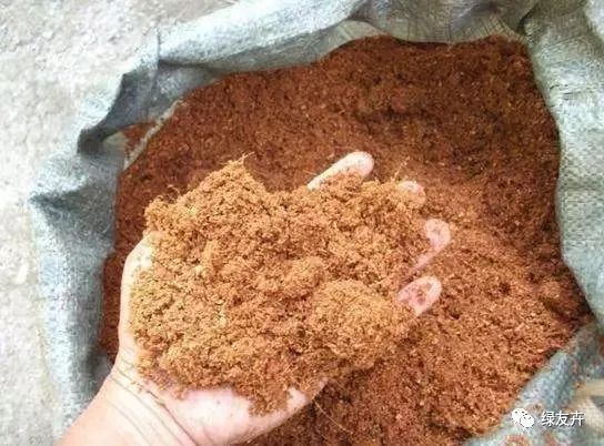 多肉植物配土方案_多肉用土配比方法_多肉植物土壤種類