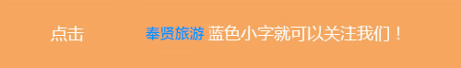 上海奉賢親子游玩攻略_奉賢夜生活特色_奉賢女生性格特點