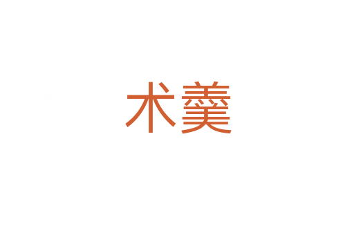 術(shù)羹