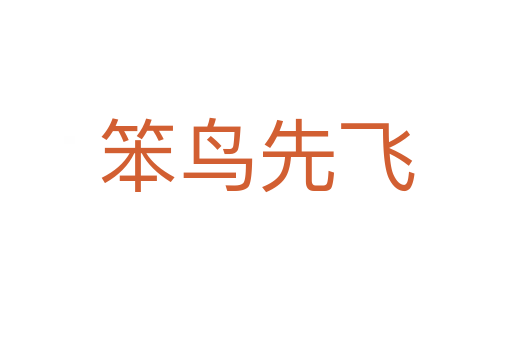 笨鳥(niǎo)先飛
