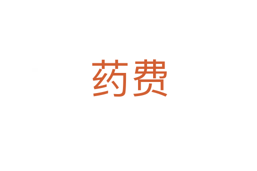 藥費(fèi)