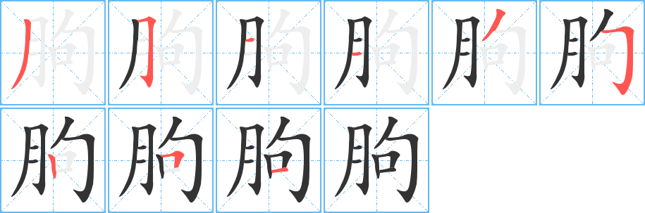 朐的筆順?lè)植窖菔?>
					
                    <hr />
                    <h2>朐的基本信息</h2>
                    <div   id=