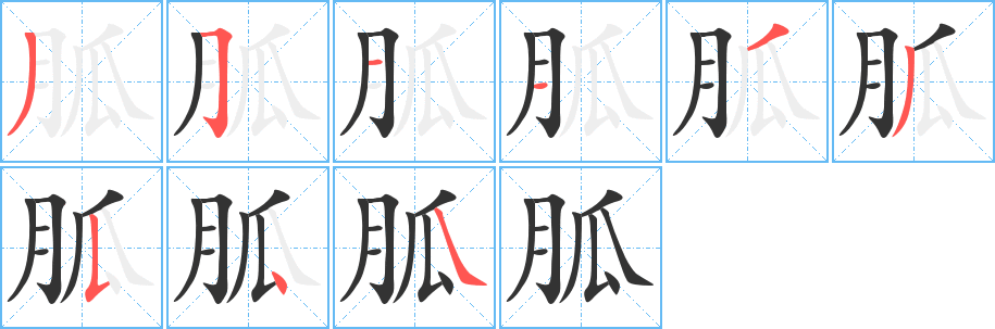 胍的筆順?lè)植窖菔?>
					
                    <hr />
                    <h2>胍的基本信息</h2>
                    <div   id=